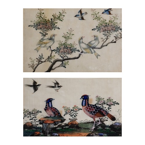 198 - TWO CHINESE PITH PAINTINGS, QING DYNASTY - Studies of Exotic Birds Perched Within Floral Scenes, gou... 