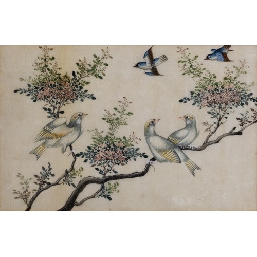 198 - TWO CHINESE PITH PAINTINGS, QING DYNASTY - Studies of Exotic Birds Perched Within Floral Scenes, gou... 