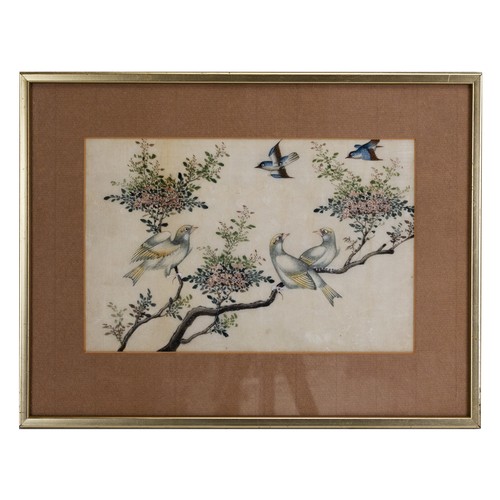 198 - TWO CHINESE PITH PAINTINGS, QING DYNASTY - Studies of Exotic Birds Perched Within Floral Scenes, gou... 