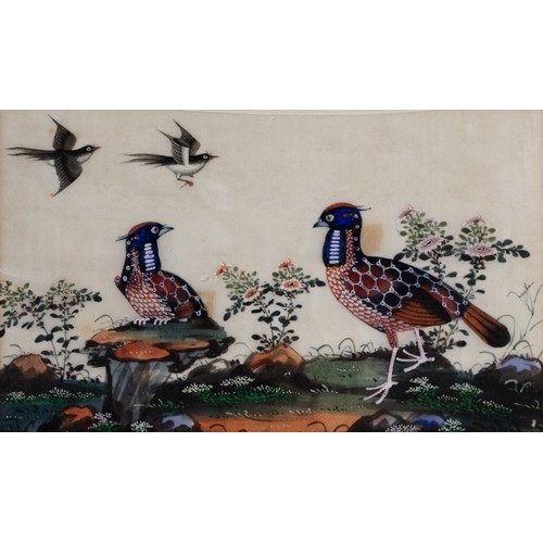 198 - TWO CHINESE PITH PAINTINGS, QING DYNASTY - Studies of Exotic Birds Perched Within Floral Scenes, gou... 