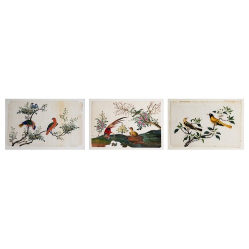 199 - THREE CHINESE PITH PAINTINGS, QING DYNASTY - Studies of Exotic Birds Within Floral Scenes, gouache o... 