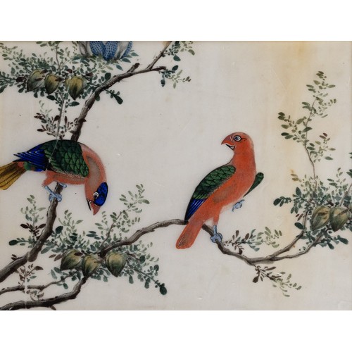 199 - THREE CHINESE PITH PAINTINGS, QING DYNASTY - Studies of Exotic Birds Within Floral Scenes, gouache o... 