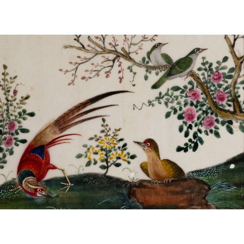 199 - THREE CHINESE PITH PAINTINGS, QING DYNASTY - Studies of Exotic Birds Within Floral Scenes, gouache o... 