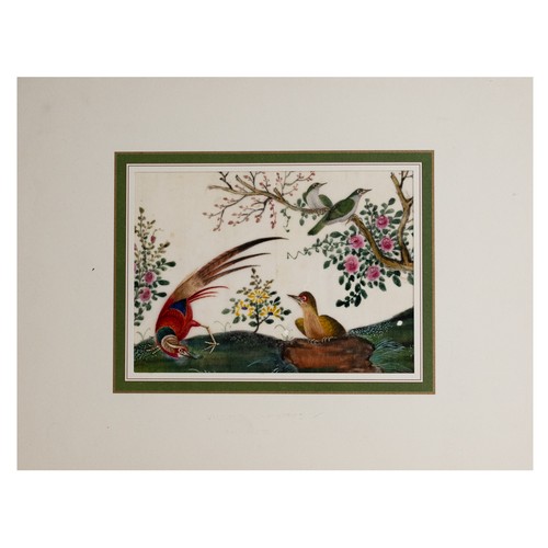 199 - THREE CHINESE PITH PAINTINGS, QING DYNASTY - Studies of Exotic Birds Within Floral Scenes, gouache o... 