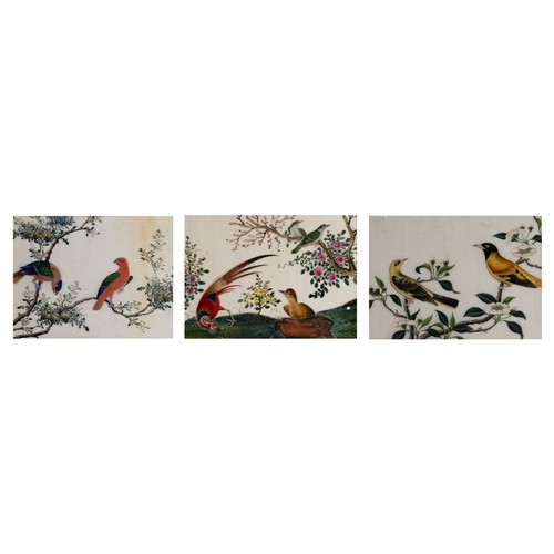 199 - THREE CHINESE PITH PAINTINGS, QING DYNASTY - Studies of Exotic Birds Within Floral Scenes, gouache o... 