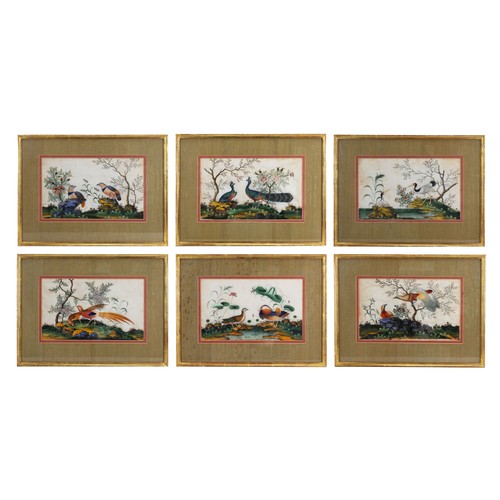 194 - A SET OF SIX CHINESE PITH PAINTINGS, QING DYNASTY - Each depicting exotic birds within a floral land... 