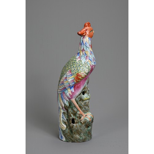 30 - A CHINESE FAMILLE ROSE PORCELAIN MODEL OF A PHOENIX. Modelled standing on a rockwork base with peony... 