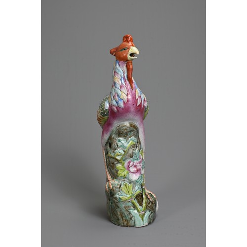 30 - A CHINESE FAMILLE ROSE PORCELAIN MODEL OF A PHOENIX. Modelled standing on a rockwork base with peony... 