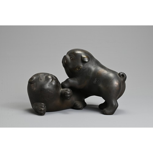 304 - AN EARLY 20TH CENTURY JAPANESE BRONZE OF TWO PUPPIES PLAYING. Signed Tokutani with seal mark to unde... 