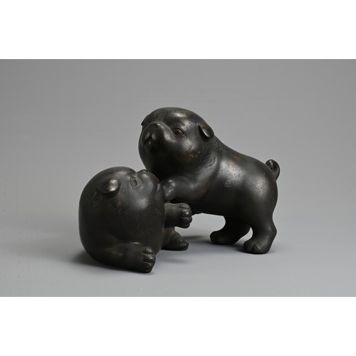 304 - AN EARLY 20TH CENTURY JAPANESE BRONZE OF TWO PUPPIES PLAYING. Signed Tokutani with seal mark to unde... 