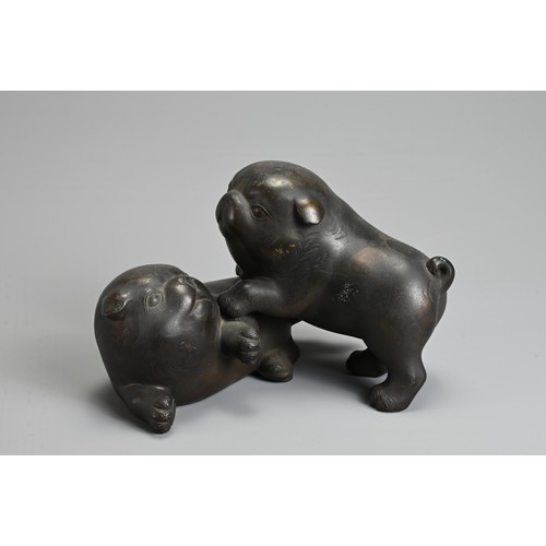 304 - AN EARLY 20TH CENTURY JAPANESE BRONZE OF TWO PUPPIES PLAYING. Signed Tokutani with seal mark to unde... 