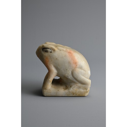 212 - A CHINESE WHITE MABLE MODEL OF A FROG, TANG DYNASTY OR LATER. Seated on a rectangular base with blac... 