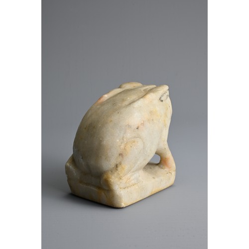 212 - A CHINESE WHITE MABLE MODEL OF A FROG, TANG DYNASTY OR LATER. Seated on a rectangular base with blac... 
