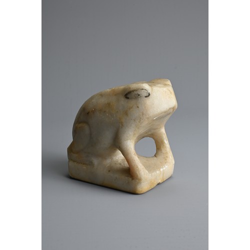 212 - A CHINESE WHITE MABLE MODEL OF A FROG, TANG DYNASTY OR LATER. Seated on a rectangular base with blac... 
