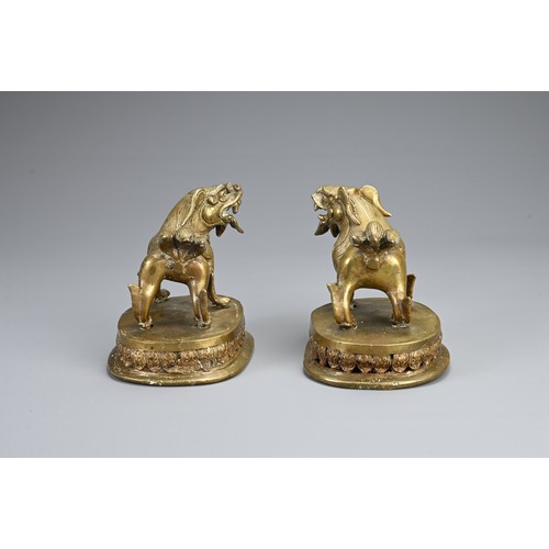 85 - A MIRRORED PAIR OF TIBETAN BRONZE TEMPLE LIONS, 19/20TH CENTURY. Each standing with their tongues ou... 