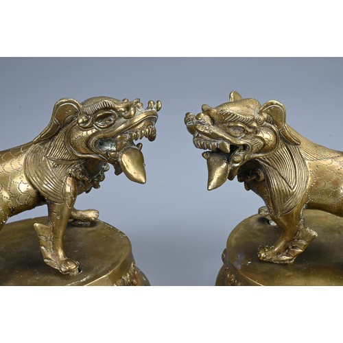 85 - A MIRRORED PAIR OF TIBETAN BRONZE TEMPLE LIONS, 19/20TH CENTURY. Each standing with their tongues ou... 