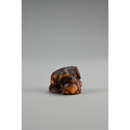 303 - JAPANESE EDO PERIOD BOXWOOD NETSUKE OF A SHISHI GUARDING A SACRED BALL, Mid 19th century, Asakusa sc... 