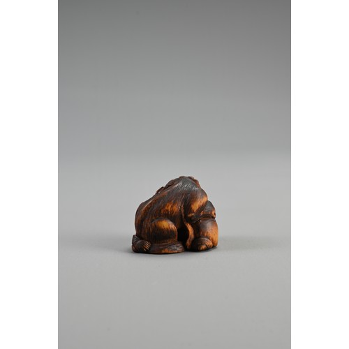 303 - JAPANESE EDO PERIOD BOXWOOD NETSUKE OF A SHISHI GUARDING A SACRED BALL, Mid 19th century, Asakusa sc... 