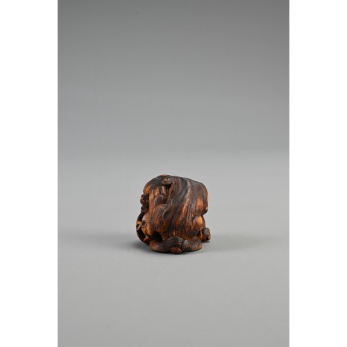 303 - JAPANESE EDO PERIOD BOXWOOD NETSUKE OF A SHISHI GUARDING A SACRED BALL, Mid 19th century, Asakusa sc... 