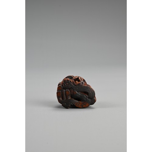 303 - JAPANESE EDO PERIOD BOXWOOD NETSUKE OF A SHISHI GUARDING A SACRED BALL, Mid 19th century, Asakusa sc... 