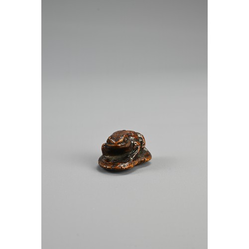 304 - JAPANESE MEIJI BOXWOOD FROG NETSUKE, late 19th century, signed Masanao, of Ise Yamada with eyes inla... 