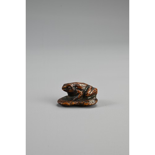 304 - JAPANESE MEIJI BOXWOOD FROG NETSUKE, late 19th century, signed Masanao, of Ise Yamada with eyes inla... 