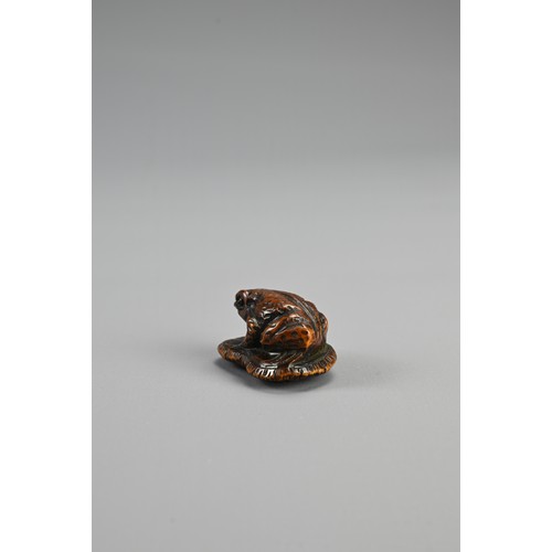 304 - JAPANESE MEIJI BOXWOOD FROG NETSUKE, late 19th century, signed Masanao, of Ise Yamada with eyes inla... 