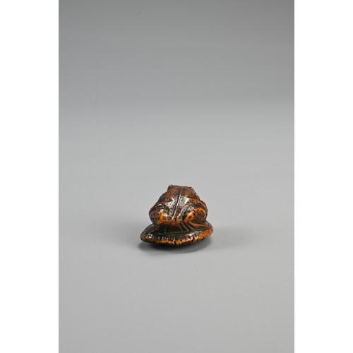 304 - JAPANESE MEIJI BOXWOOD FROG NETSUKE, late 19th century, signed Masanao, of Ise Yamada with eyes inla... 