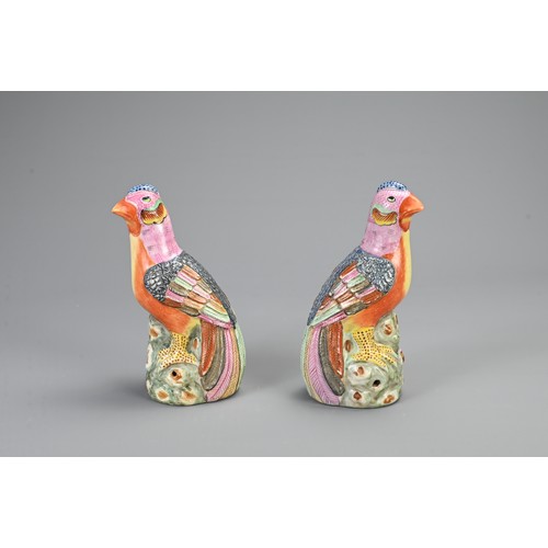 125 - A PAIR OF CHINESE POLYCHROME DECORATED PORCELAIN PHEASANTS, 20TH CENTURY. A mirrored pair perched on... 