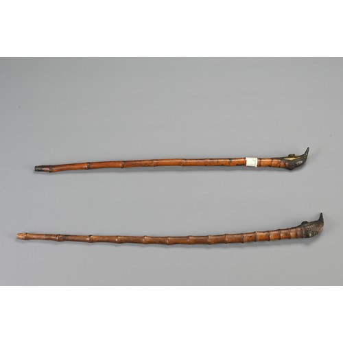 133 - TWO BAMBOO FORMED TOBACCO PIPES, SOUTHEAST ASIA, 19/20TH CENTURY. Each with brass mounts. 48cm and 5... 