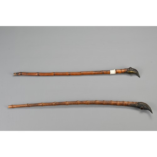 133 - TWO BAMBOO FORMED TOBACCO PIPES, SOUTHEAST ASIA, 19/20TH CENTURY. Each with brass mounts. 48cm and 5... 