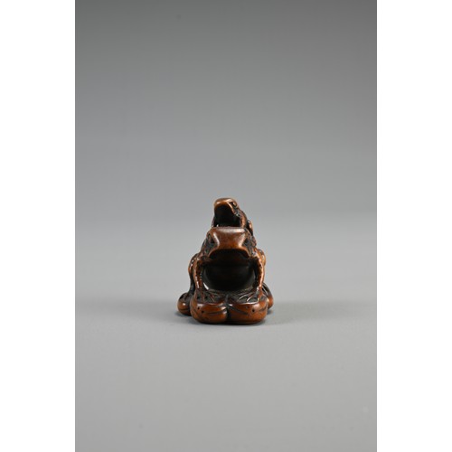 299 - JAPANESE EDO PERIOD BOXWOOD NETSUKE OF TWO TOADS, with the mother carrying her young on her back. un... 