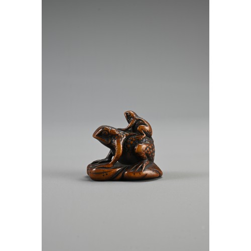 299 - JAPANESE EDO PERIOD BOXWOOD NETSUKE OF TWO TOADS, with the mother carrying her young on her back. un... 