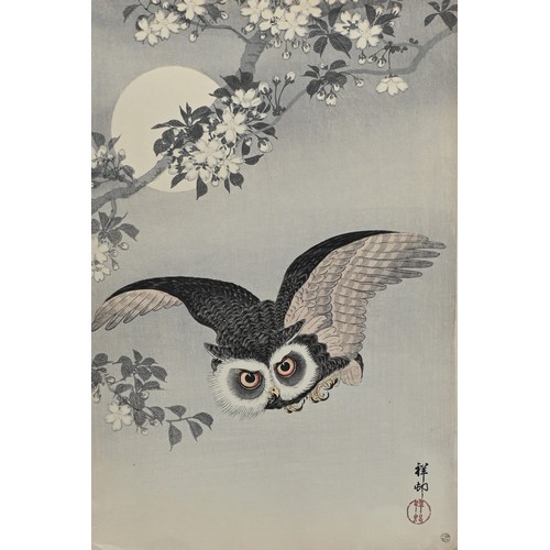 232 - A JAPANESE WOODBLOCK PRINT, SCOPS OWL, OHARA KOSON. A rare Japanese colour woodblock print on paper ... 