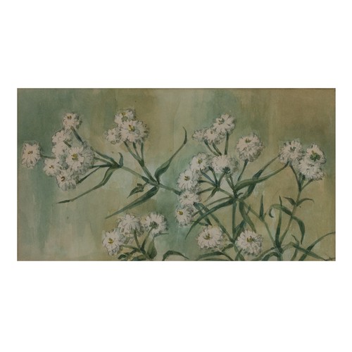 325 - KAY CORIAT (20th Century) - Two botanical studies of Jasmine and Achillia The Pearl, watercolour and... 