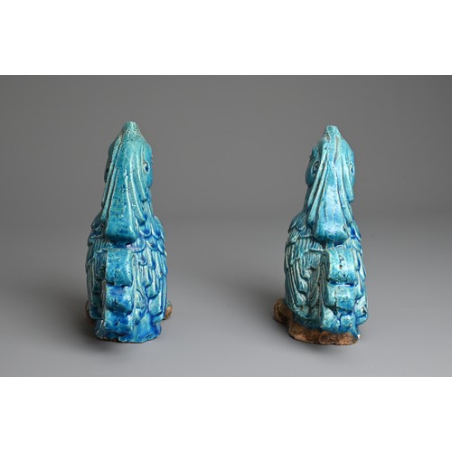 5 - A PAIR OF CHINESE TURQUOISE GLAZED POTTERY MODELS OF PHOENIXES, QING DYNASTY. Probably Guangdong war... 