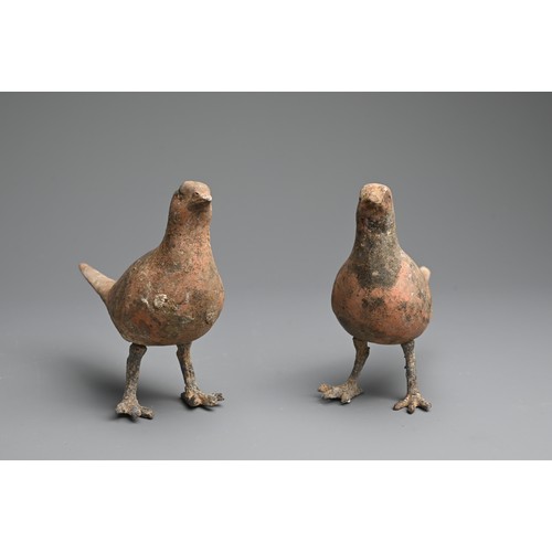 156 - A RARE PAIR OF CHINESE PAINTED POTTERY MODELS OF BIRDS WITH BRONZE FEET, WESTERN HAN DYNASTY. Finely... 