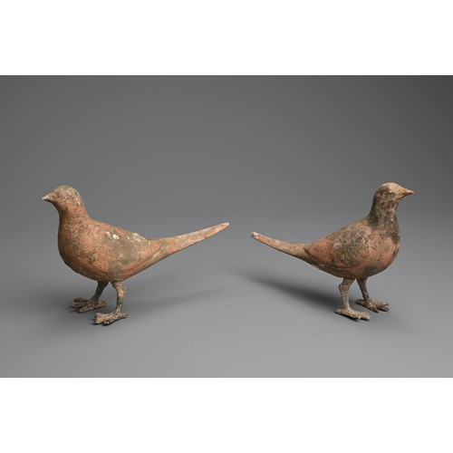 156 - A RARE PAIR OF CHINESE PAINTED POTTERY MODELS OF BIRDS WITH BRONZE FEET, WESTERN HAN DYNASTY. Finely... 