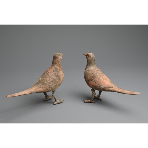 156 - A RARE PAIR OF CHINESE PAINTED POTTERY MODELS OF BIRDS WITH BRONZE FEET, WESTERN HAN DYNASTY. Finely... 