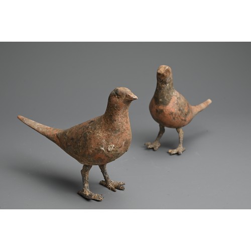 156 - A RARE PAIR OF CHINESE PAINTED POTTERY MODELS OF BIRDS WITH BRONZE FEET, WESTERN HAN DYNASTY. Finely... 