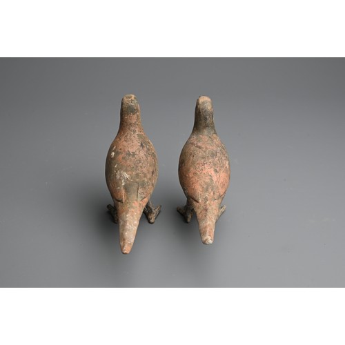 156 - A RARE PAIR OF CHINESE PAINTED POTTERY MODELS OF BIRDS WITH BRONZE FEET, WESTERN HAN DYNASTY. Finely... 