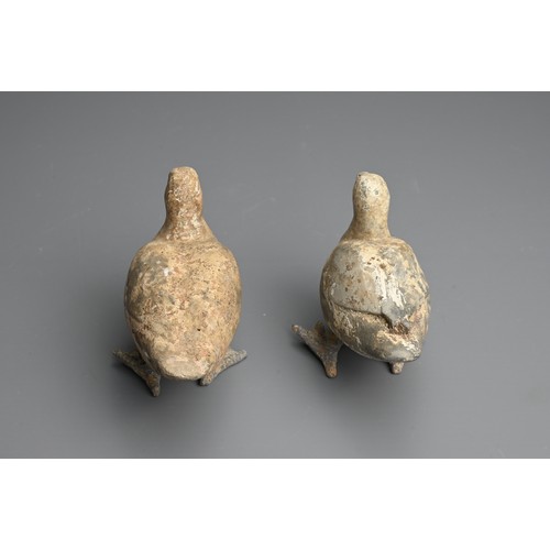 157 - A RARE PAIR OF CHINESE PAINTED POTTERY MODELS OF DUCKS WITH BRONZE FEET, WESTERN HAN DYNASTY. Finely... 