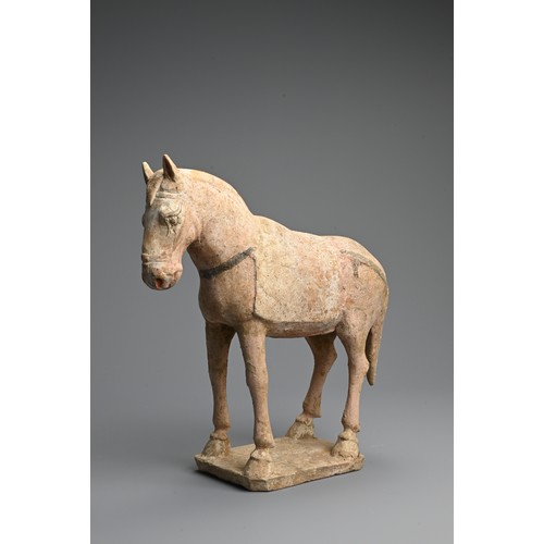 160 - A CHINESE PAINTED POTTERY MODEL OF A HORSE, TANG DYNASTY. Modelled standing four square, decorated w... 