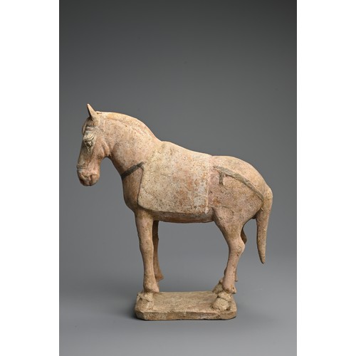 160 - A CHINESE PAINTED POTTERY MODEL OF A HORSE, TANG DYNASTY. Modelled standing four square, decorated w... 