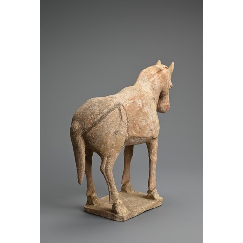 160 - A CHINESE PAINTED POTTERY MODEL OF A HORSE, TANG DYNASTY. Modelled standing four square, decorated w... 