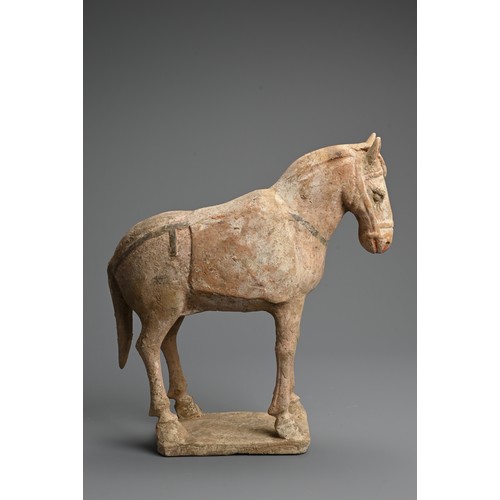 160 - A CHINESE PAINTED POTTERY MODEL OF A HORSE, TANG DYNASTY. Modelled standing four square, decorated w... 