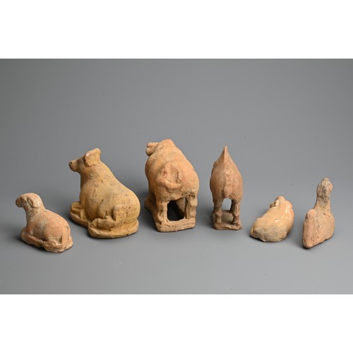 161 - A GROUP OF CHINESE RED POTTERY MODELS OF ANIMALS, TANG DYNASTY. To include a cow, a bull, a sheep, a... 