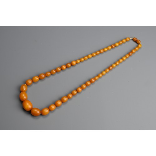 229 - A GRADUATED AMBER BEAD NECKLACE. Ovoid beads of butterscotch colour in graduating sizes with screw c... 