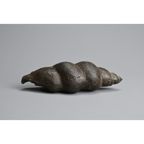 292 - A SOUTHEAST ASIAN BRONZE FIGURE OF BUDDHA IN CONCH SHELL. The figure seated in meditation within a c... 