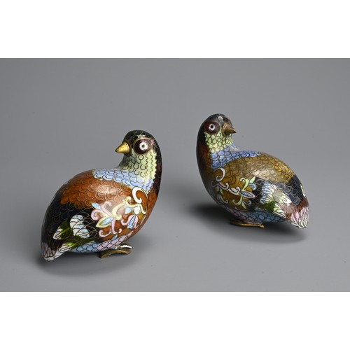 298 - A PAIR OF EARLY 20TH CENTURY CHINESE CLOISONNE ENAMEL MODELS OF QUAILS. Each recumbent, with plumage... 